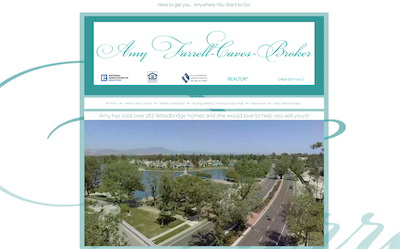 amyfarrellcaves.com.png