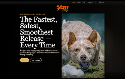 thespeedrelease.com.png